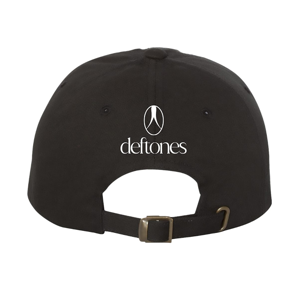 snake embroidered hat