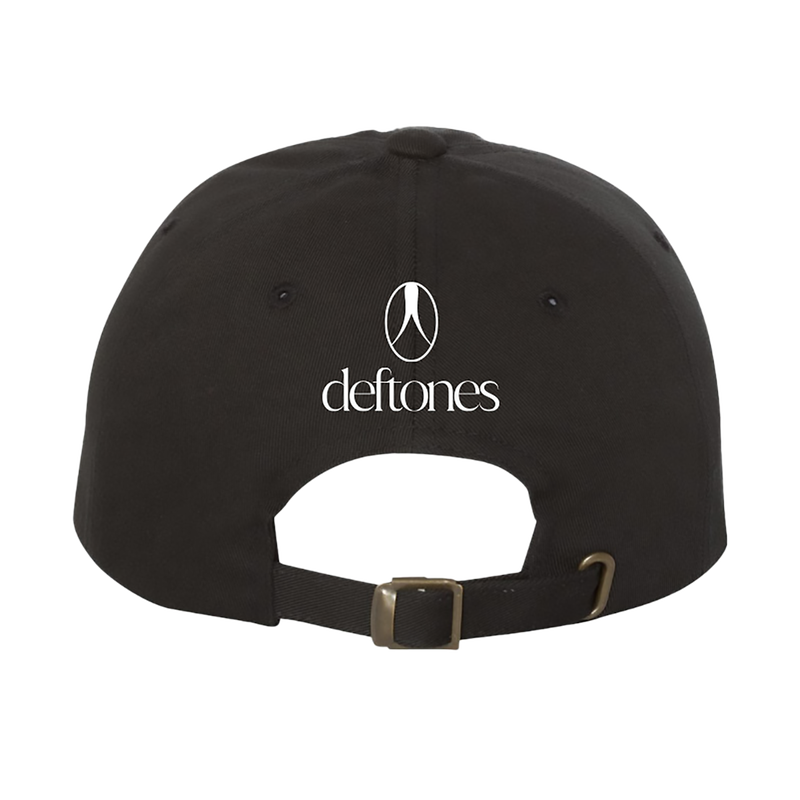 snake embroidered hat