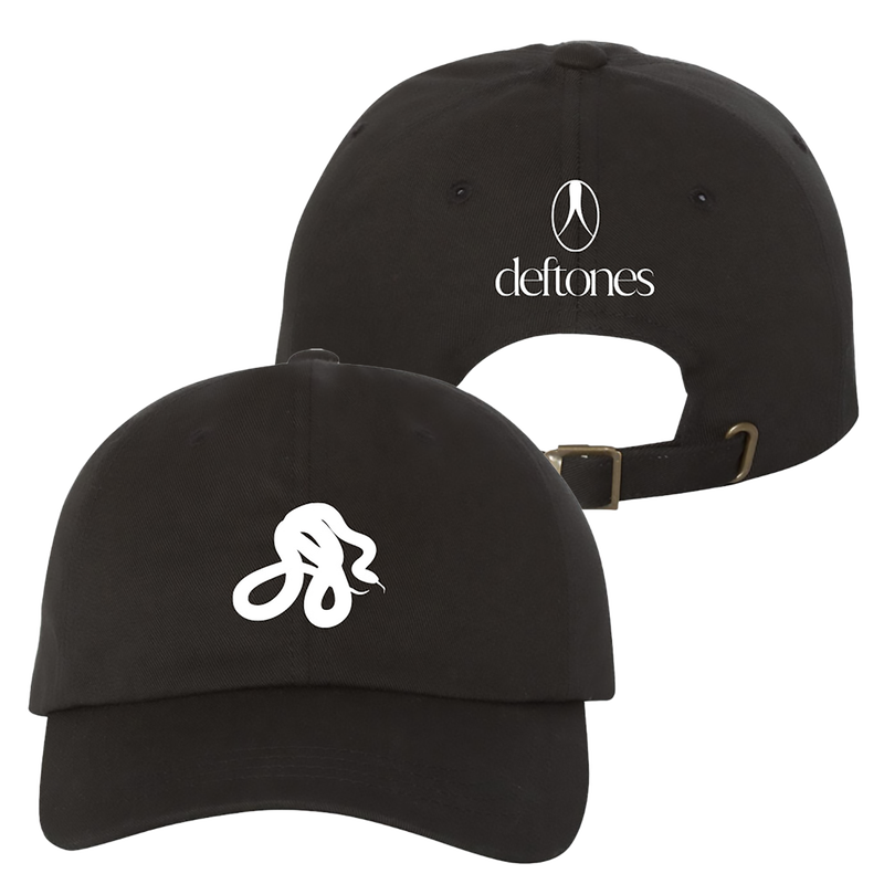 snake embroidered hat