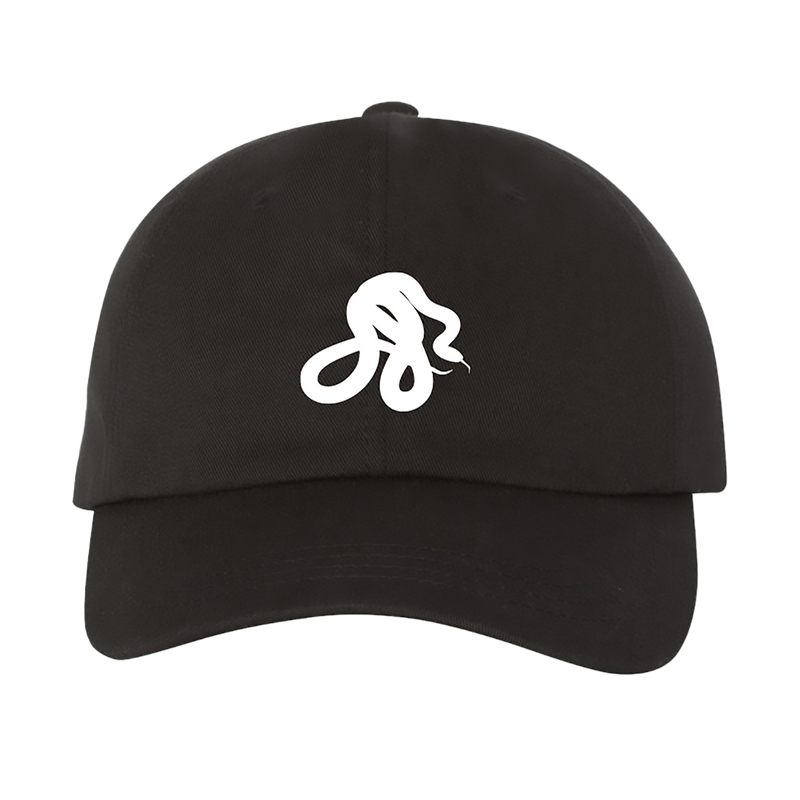 snake embroidered hat